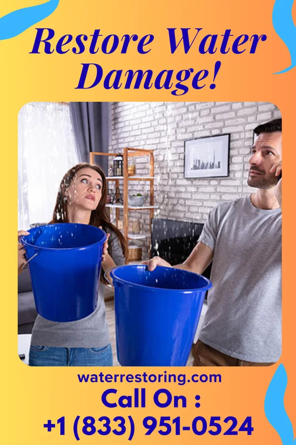 water restoration Damage Recovery Professionals Lee Center
